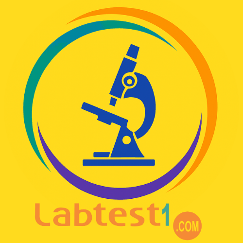 labtest1.com Logo